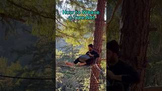 How to Weave a Tree Net [upl. by Ylro502]