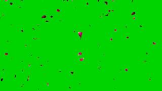 4K Falling Petals Green Screen Source UHD [upl. by Eenolem]