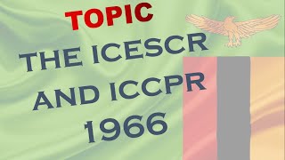 The ICCPR and ICESCR [upl. by Akihdar]