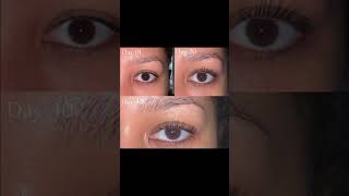 Best eyelash serum😍 subscribe youtubeshorts organicoillashgrowth [upl. by Nitneuq54]