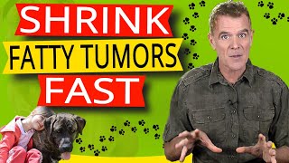 How to Get Rid of Fatty Tumors in Dogs One Simple Supplement [upl. by Meridith]