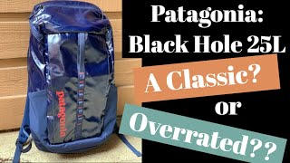 Patagonia Black Hole 25L Backpack [upl. by Revart]