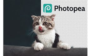 PHOTOPEA EASY Free Background Removal [upl. by Ettenna]