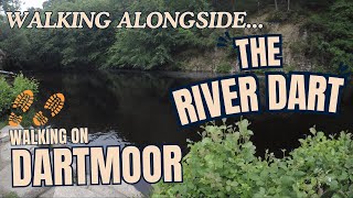 WALKING ON DARTMOOR  Part 4 alongside the RIVER DART from NEW BRIDGE gorgeous Devon riverside walk [upl. by Edmon]