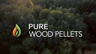 Pure Wood Pellets Absorbency Test [upl. by Juback]