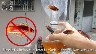 HOW TO DIY Cockroach Trap [upl. by Scarlet]