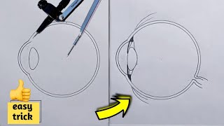 How to Draw Human Eye Diagram Step by stepeasily  easy way to draw human eye diagram [upl. by Esiouqrut]