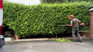 Homeowners Overgrown Hedge had not been Cut for 3 Years [upl. by Irwinn231]