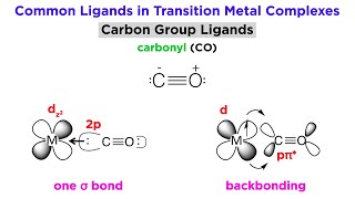 Types of Bonding in Transition Metal Systems and Simple Ligands [upl. by Emyle]