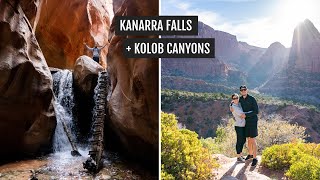 Hiking to the AMAZING Kanarra Falls  Kolob Canyons at Zion National Park Timber Creek Overlook [upl. by Luoar]