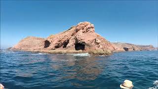 Reserva Natural das Berlengas Peniche Portugal 02092019 [upl. by Riegel]