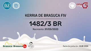 14823 BR KERRIA DE BRASUCA FIV [upl. by Caye647]