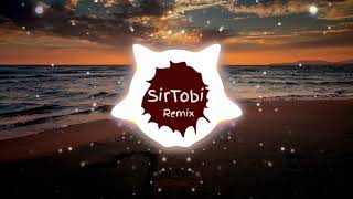 Dein ist mein ganzes Herz SirTobi Remix [upl. by Doralin]