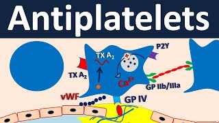 Antiplatelets  Pharmacology in easy way [upl. by Tatiania863]