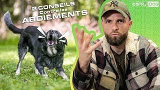 2 CONSEILS contre les ABOIEMENTS de votre chien [upl. by Arella]