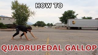 How to QUADRUPEDAL GALLOP beginner parkour tutorial [upl. by Ulphi]