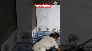 টাইস মিস্ত্রির টাইস মিস্ত্রির shortsfeed shorts [upl. by Azzil]