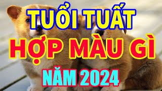 Tuổi Tuất hợp màu gì năm 2024 mang lại may mắn tài lộc mauhoptuoituat tuoituat2024 tuvituoituat [upl. by Oletta]