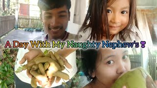 A DAY WITH MY NAUGHTY NEPHEWS ❣️vlog50 [upl. by Niamert]