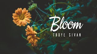 LyricsVietsub Bloom • Troye Sivan [upl. by Fanchette436]