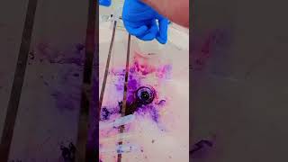 Gram staining  gram positive and negative bacteria  simple procedure [upl. by Akcirehs]