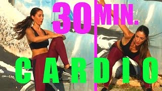 Reducir Cintura y Abdomen  Rutina Cardio en 30 Minutos [upl. by Pittel15]