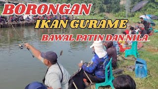 Borongan mancing ikan GurameNila BawalEmasPatinFull Strike [upl. by Raasch]