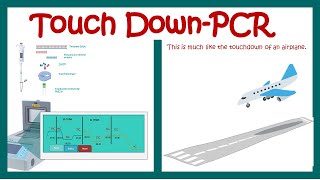 Touch down PCR [upl. by Gow]