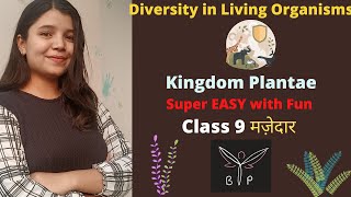 L5 Kingdom Plantae  Diversity in Living Organisms  Class 9  Hindi  NCERT [upl. by Skilken]