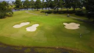 Hole Spotlight The Par3 17th at Myrtlewoods Palmetto Course [upl. by Eiclud]