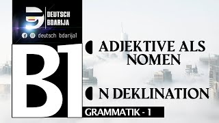 B1 GRAMMATIK  ADJEKTIVE ALS NOMEN  N DEKLINATION  LEKTION 1 [upl. by Tremann626]