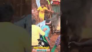 Highlights பாலமேடு ஜல்லிக்கட்டு shorts jallikattu vikatan [upl. by Averil]