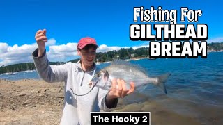 The secret to catching Gilthead Bream [upl. by Nela]