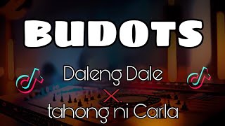 DALENG DALE x TAHONG NI CARLA  Budots  tiktok bomb remix [upl. by Neivad792]