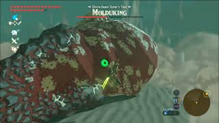 The Legend of Zelda Breath of the Wild on Yuzu Android  Molduking Hunt [upl. by Annaul634]