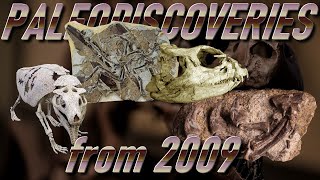 PALEODISCOVERIES from 2009 [upl. by Helena]