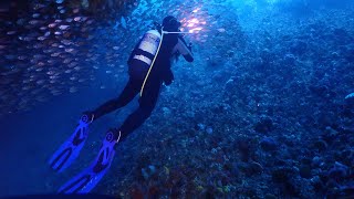 Diving Rottnest Island [upl. by Riha]