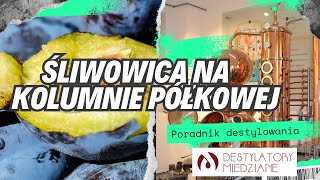 Śliwowica na kolumnie półkowej [upl. by Twila]