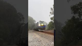 Amtrak Surfliner 777 flies through Capitan in the fog 10724 [upl. by Panchito320]