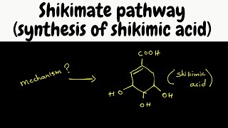 Biosynthesis part 6  shikimic acid synthesis [upl. by Hammer]