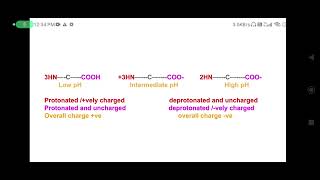 Amino Acid as Zwitterion Amphiprotic substance Amphoteric substances Glycine as Zwitterion [upl. by Eddina]