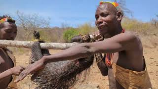 Wow 😲 unbelievable see how Hadza Hunt and Cooks Porcupine middle of nowhere ‼️😋 [upl. by Ynnig130]