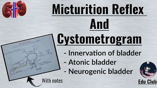 Micturition reflex  Cystometrogram  Renal physiology [upl. by Main]