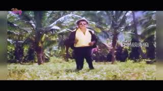 Vasakaru veppilaiye Song Ultra HD 🎶 Siraiyil Pootha Chinna Malar Movie🎶 Captain Hits 🎶51 Digital [upl. by Ynalem846]