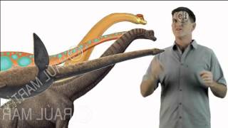 Dinosaur Discoveries Elasmosaurus [upl. by Geri740]