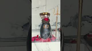 Deeneshwar Mahadev Dhaam pratah shringaar darshan 🙏🌺🙏deeneshwar hridaynath [upl. by Fantasia]