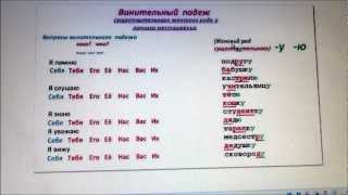 ACCUSATIVE CASE ВИНИТЕЛЬНЫЙ ПАДЕЖ 1zoia [upl. by Squier529]