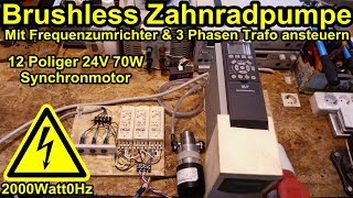 Brushless Zahnradpumpe mittels Frequenzumrichter ansteuern [upl. by Ecirtak]