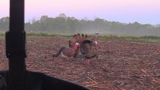 Late season turkey hunting6 birds down [upl. by Tenahs]