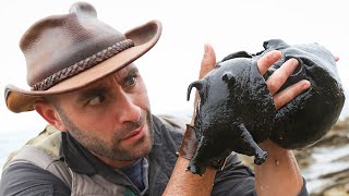 Giant Black Sea Creature Caught [upl. by Anitselec278]